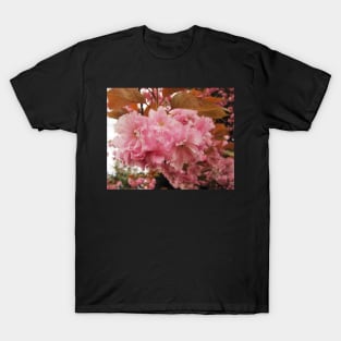 Macro of Cherry Blossoms T-Shirt